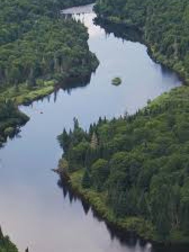 World Earth Day : धरती को सबसे ज्यादा पानी देती हैं ये 5 नदियां