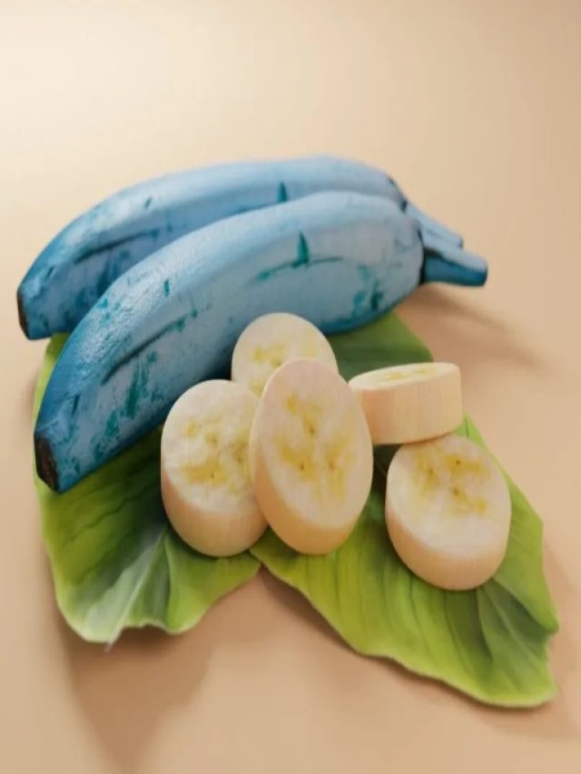 वैनिला आइसक्रीम जैसा लगता है Blue Java Banana का स्वाद, विटामिन, मिनरल से होता है भरपूर …