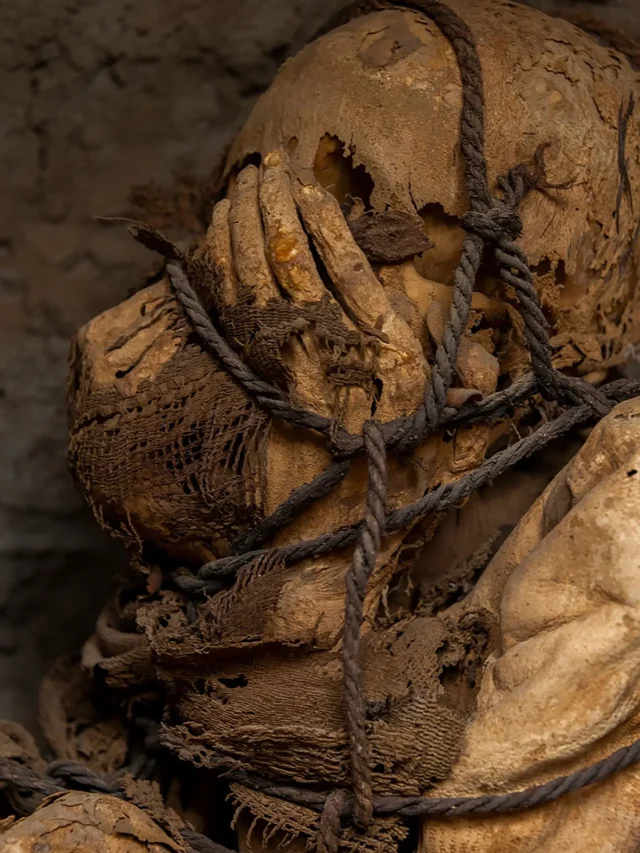 हाथों से ढका चेहरा… रस्सियों से बंधी… कब्र में मिली रहस्यमयी मां