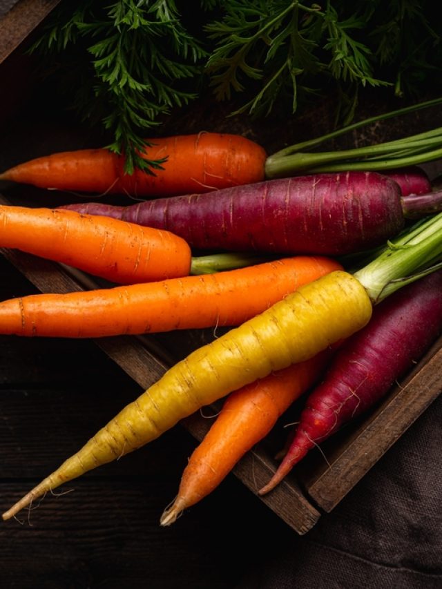 International Carrot Day 2024 : हर रंग का गाजर कह रहा आपसे अपने गुणों का कहानी