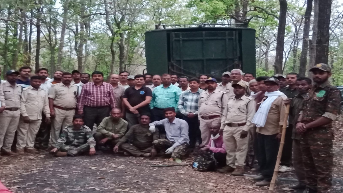 Bandhavgarh Tiger Reserve: आतंक का पर्याय बने बाघ का सफल रेस्क्यू, ग्रामीणों ने ली राहत की सांस 