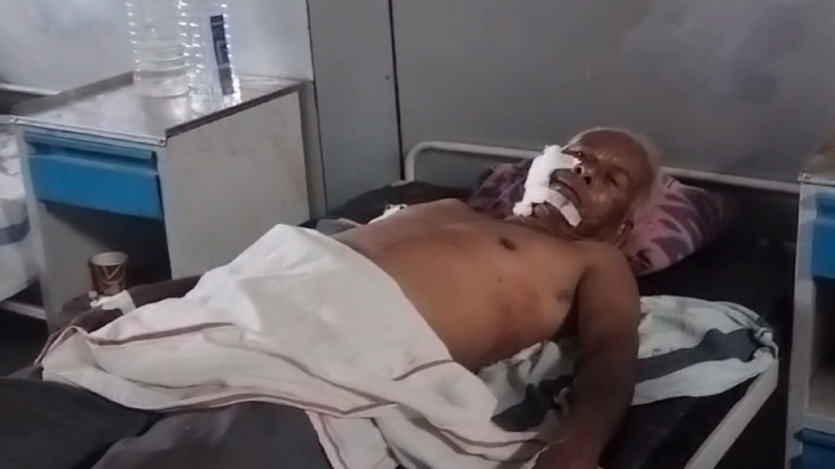मवेशी चराने गए बुजुर्ग पर बाघ का हमला: खेत में एक घंटे बेहोश पड़ा रहा, अस्पताल में भर्ती