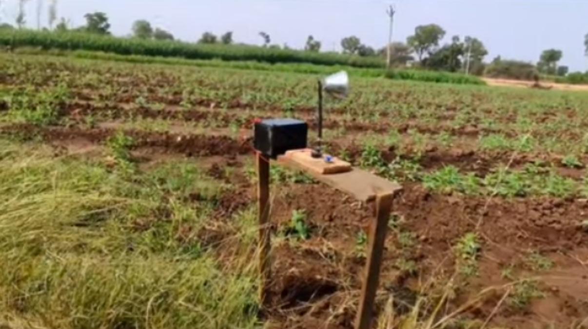 आवारा मवेशियों को खेत से दूर रखने के लिए किसान ने किया स्मार्ट जुगाड़, वीडियो देख दंग रह जाओगे …