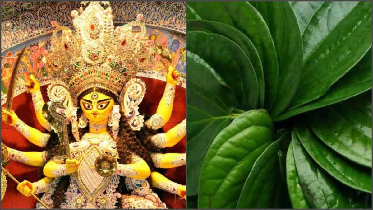 कुंडली में ग्रहों के दोष को दूर करने के लिए नवरात्रि में लौंग और पान का करें ये उपाय…