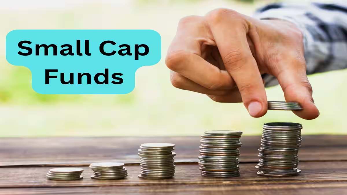 निवेश के लिए बेहतर विकल्प है Small Cap Mutual Fund, जानिए कैसे मिलेगा तगड़ा मुनाफा ?