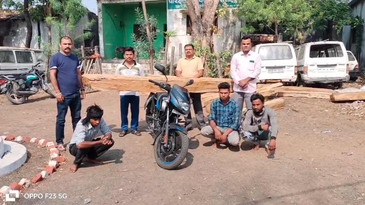 ‘सूरत देख लो जेल से छूटने के बाद…’, जब्त सागौन की सिल्लियां चुराते तीन चोर पकड़ाए