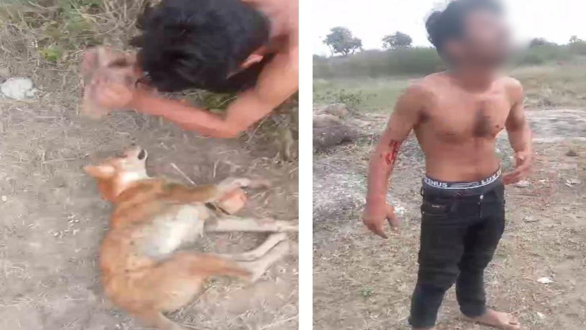 स्ट्रीट डॉग को पत्थर से कुचलने का मामला: सिरफिरा नाबालिग आरोपी चढ़ा पुलिस के हत्थे, अन्य की तलाश जारी