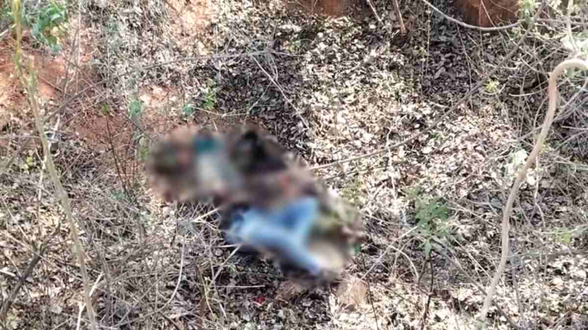 प्रेमी युगल का शव मिलने से फैली सनसनी: घटनास्थल से कट्टा भी बरामद, पुलिस ने जताई ये आशंका