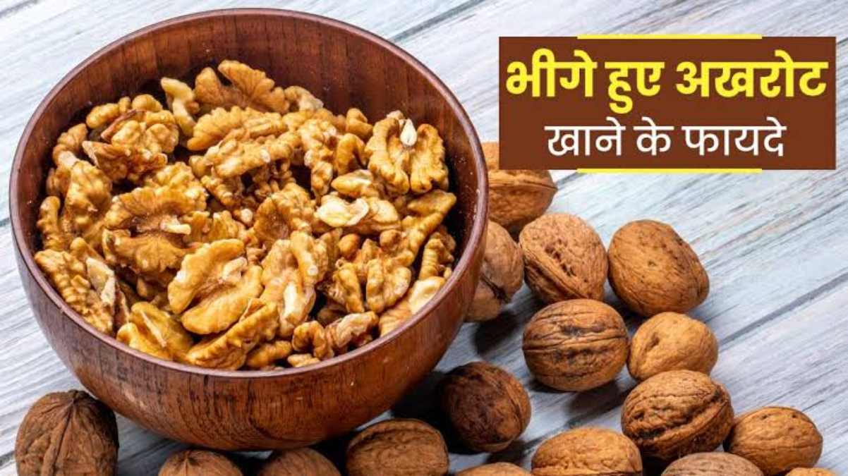 Health Tips : भीगा अखरोट सेहत के लिए है बहुत फायदेमंद, दिल को रखे हेल्थी, पाचन बनाए बेहतर …