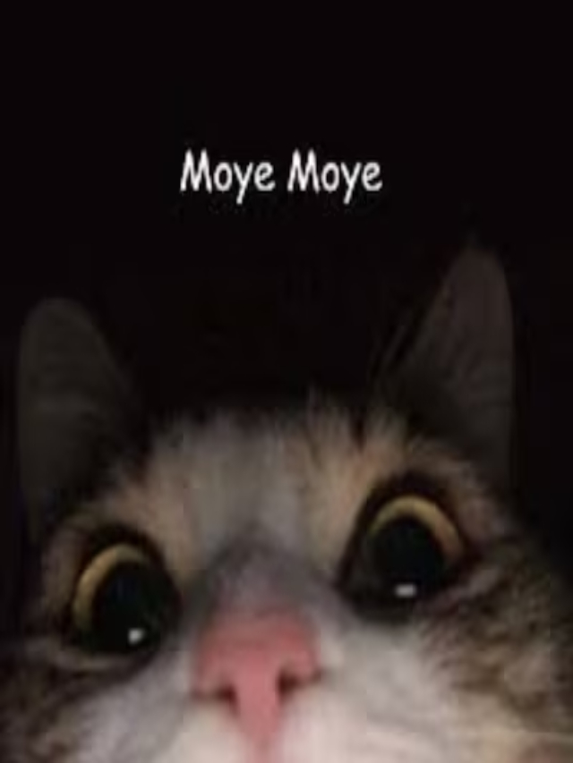 फिर हो गया मोए-मोए, गफलत की सच्चाई उड़ा देगी होश