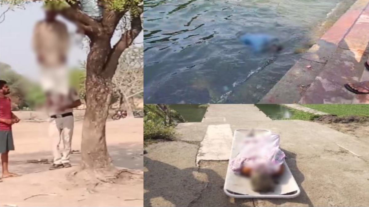 MP Crime: दतिया में फंदे पर लटका मिला बुजुर्ग, विदिशा में घाट पर तैरती मिली महिला की लाश, भोपाल के बड़ा तालाब में शव मिलने से फैली सनसनी