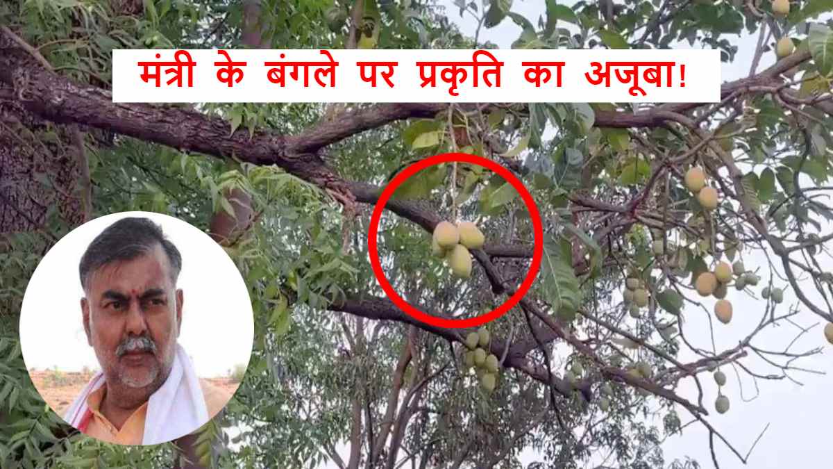 ‘बोया पेड़ बबूल का, आम कहां से होए’, नीम के पेड़ पर आम का फल, नजारा देख मंत्री भी हैरान, VIDEO शेयर कर कही ये बात…