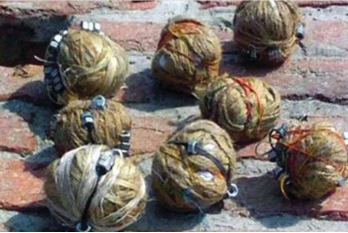 India general Elections 2024: पश्चिम बंगाल में TMC कार्यकर्ता की बम मारकर हत्या, बिहार में पोलिंग एजेंट की हार्ट अटैक से मौत,सपा ने कहा- कन्नौज में नहीं डालने दिया जा रहा वोट