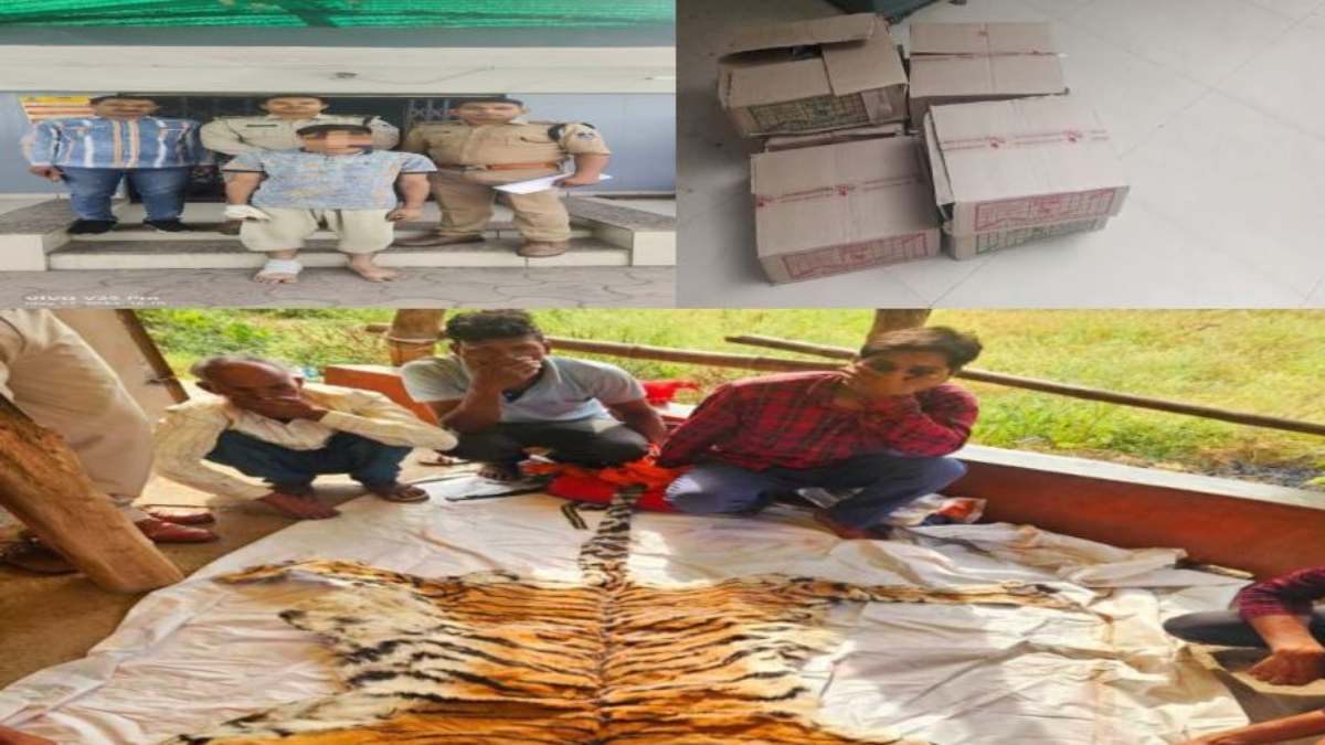 MP Crime News: इंदौर, विदिशा और शिवपुरी में मादक पदार्थ के साथ 3 युवक पकड़ाए, बालाघाट में बाघ की खाल के साथ तीन गिरफ्तार