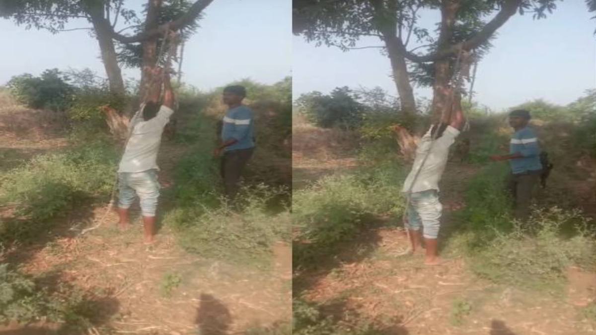 तालिबानी सजा… बकरी चोरी के आरोप में युवक को पेड़ से बांधकर पीटा, वीडियो वायरल