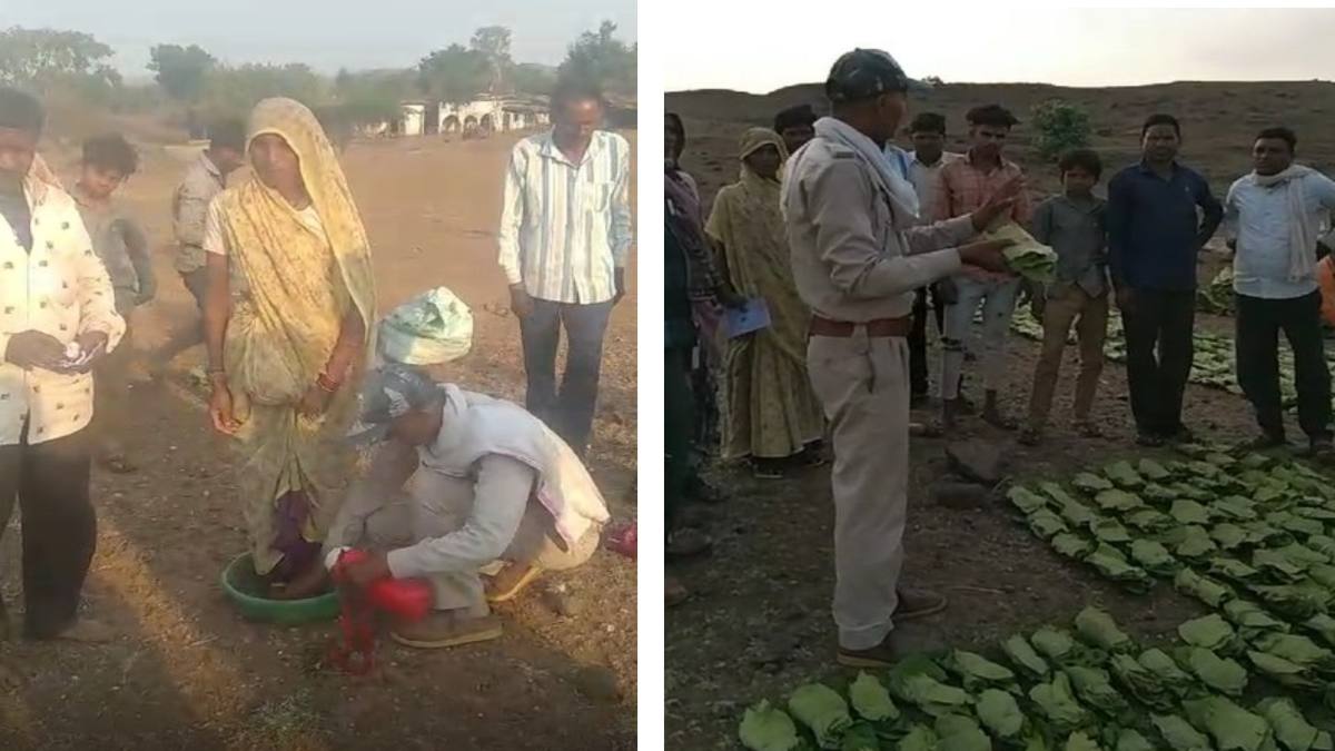 तेंदूपत्ता संग्रहण की शुरुआत: वन विभाग के नाकेदार ने आदिवासी महिला के धोए पैर, पहनाई नई चप्पल, फिर चालू कराया काम, मिल रही सराहना