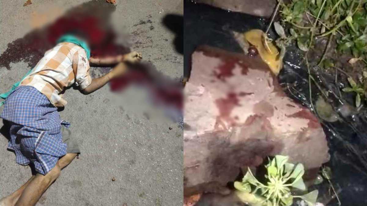 CG CRIME NEWS : पत्थर से कुचलकर शख्स की बेरहमी से हत्या, इलाके में फैली सनसनी, पुलिस हिरासत में एक संदिग्ध