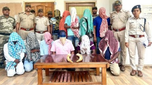 सुंदरगढ़ में हाथी के दांत जब्त, 11 गिरफ्तार