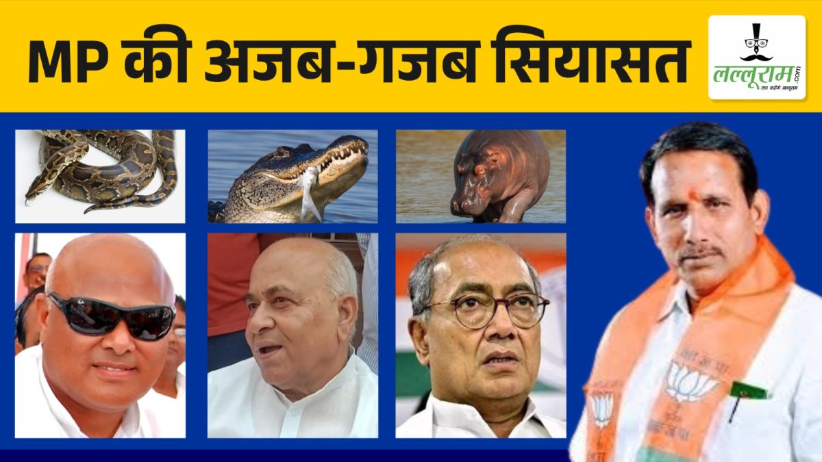 MP की सियासत में अजगर, मगरमच्छ और हिप्पो की एंट्री: BJP विधायक ने कांग्रेस नेताओं की जीव-जंतुओं से की तुलना, कहा- इन्हें चिड़ियाघर की जगह चंबल की गहराइयों में दफन कर दिया जाए