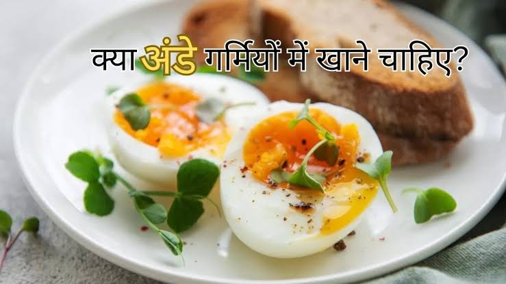 क्या गर्मी के मौसम में कर सकते हैं Egg का सेवन ? यहां जानिए की किस समय कितनी मात्रा में खाएं अंडा