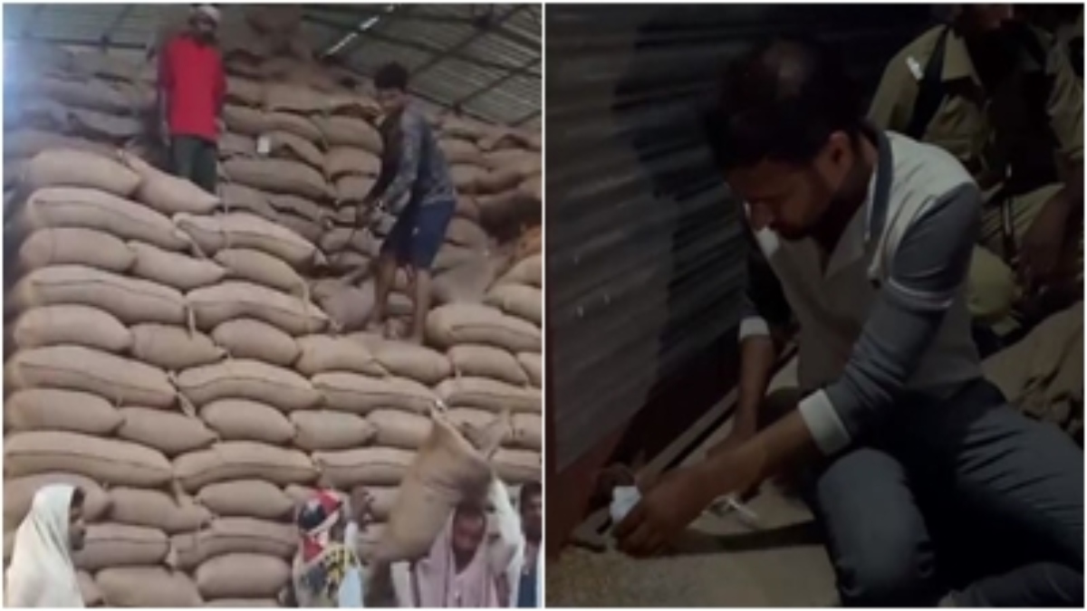 वेयरहाउस में खराब गेहूं खरीदी का मामला: चार अधिकारियों पर FIR दर्ज, दोषी कर्मचारियों के खिलाफ जांच कमेटी गठित     