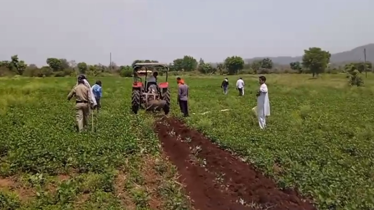 55 एकड़ सरकारी जमीन पर दबंगों ने कर रखा था कब्जा, कलेक्टर ने की बड़ी कार्रवाई, भूमि कराई कब्जामुक्त