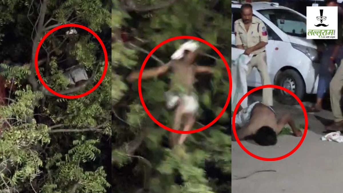 नीम के पेड़ से बुजुर्ग ने लगाई छलांग, Video देखकर दहल जाएगा दिल