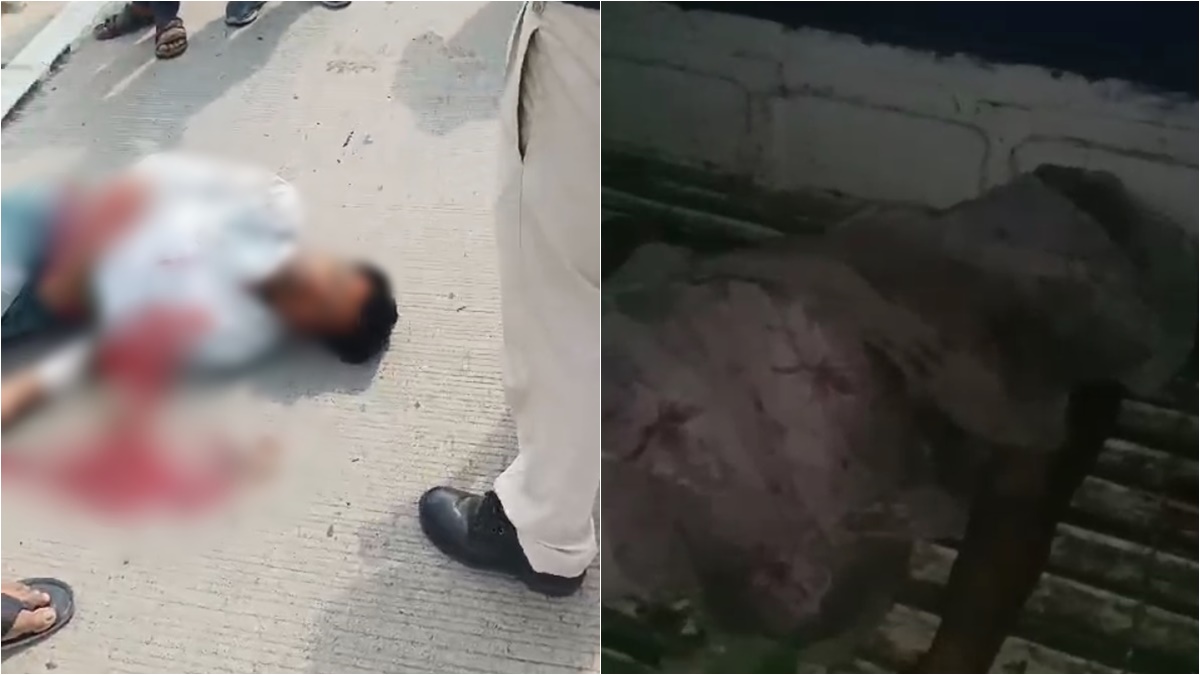 MP में तेज रफ्तार का कहर: कटनी में कार की टक्कर से बाइक सवार की मौत, निवाड़ी में सड़क किनारे बैठी महिला को मिनी ट्रक ने रौंदा