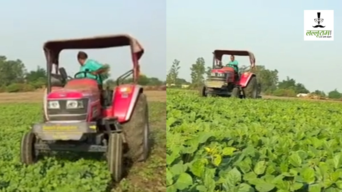 खेतों में खड़ी फसल पर किसानों ने चलाया ट्रैक्टर: पानी नहीं मिलने से 1800 एकड़ मूंग की फसल बर्बाद, दिग्विजय सिंह ने की मुआवजे की मांग