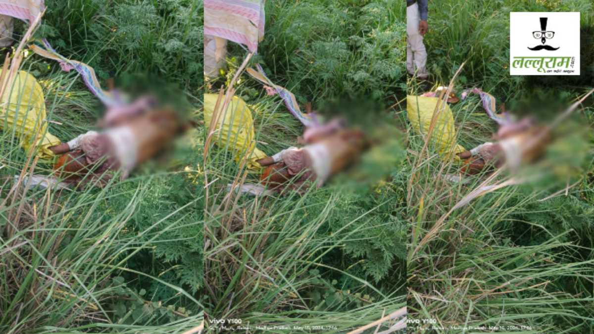 बाघ के हमले से ग्रामीण की मौत: Tiger ने आधा शरीर खाया, आस-पास के गांवों में दहशत