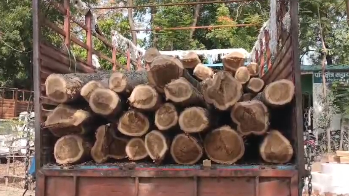 माफिया के खिलाफ वन विभाग की बड़ी कार्रवाई: सागौन के लट्ठे से भरा ट्रक पकड़ा, ड्राइवर फरार 
