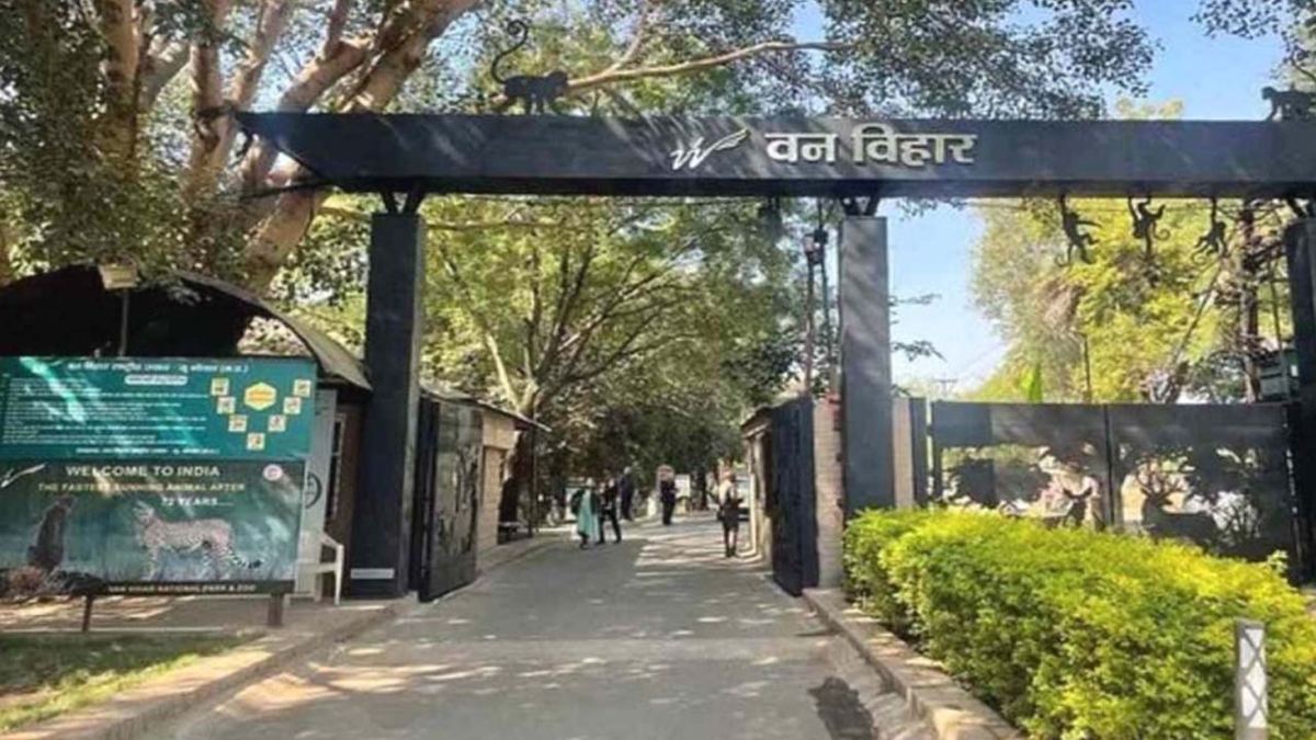 3 महीने इंतजार के बाद जून में वन विहार में आएंगे नए मेहमान, रहने के लिए बाड़े किए तैयार