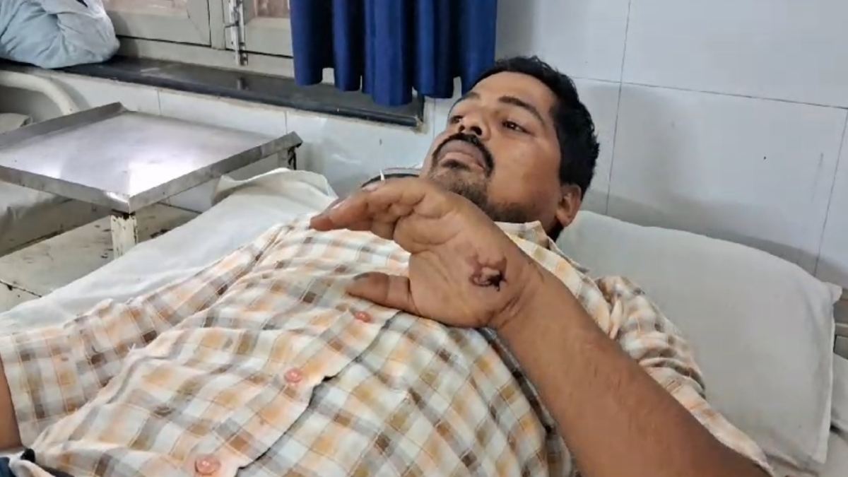 करेला तोड़ रहे किसान का सर्प के बिल में चला गया हाथ: सांप ने ऐसा डसा कि टूट कर हथेली में घुस गया दांत, अस्पताल में भर्ती