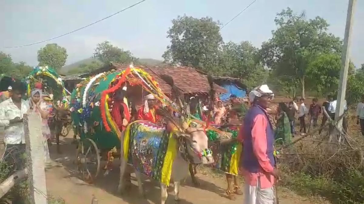 ऐसी बारात देखी क्या ? मॉर्डन जमाने में बैलगाड़ी में सवार हुआ दूल्हा, देखें VIDEO