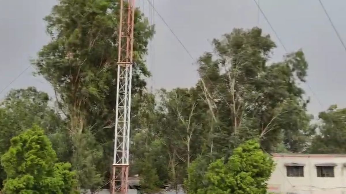 गर्मी से मिली राहतः MP के इस क्षेत्र में बारिश के साथ गिरे ओले, तेज हवाओं के कारण बिजली हुई गुल