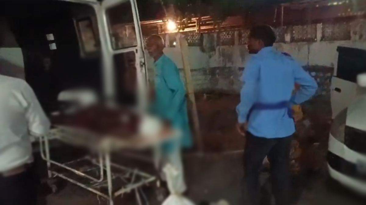 Umaria में तेंदूपत्ता तोड़ने गए ग्रामीणों पर बाघ ने किया हमला: गंभीर हालत में जबलपुर रेफर, इलाज जारी…