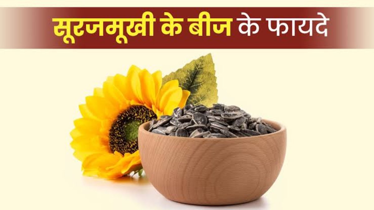 बहुत फायदेमंद हैं Sunflower Seeds, यहां जाने इसके सेवन से क्या-क्या मिलेंगे लाभ …