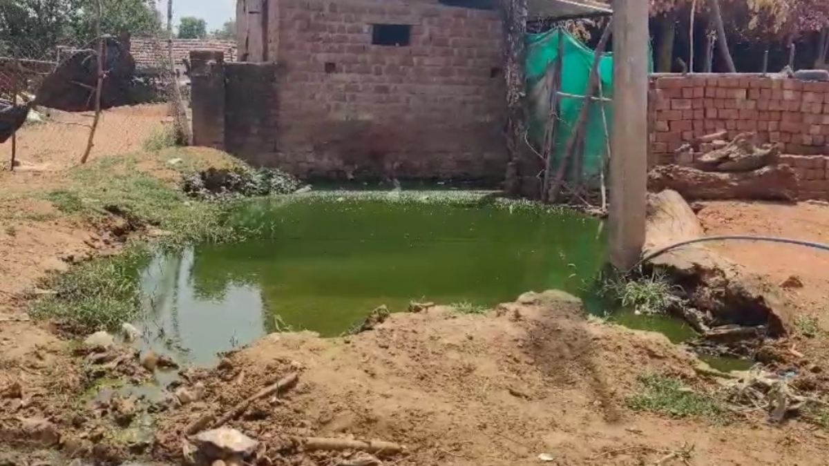 गर्मी नहीं… दूषित पानी पीने से बीमार हो रहे यहां लोग; हर घर में पेट और बुखार से पीड़ित, सरपंच-सचिव की लापरवाही