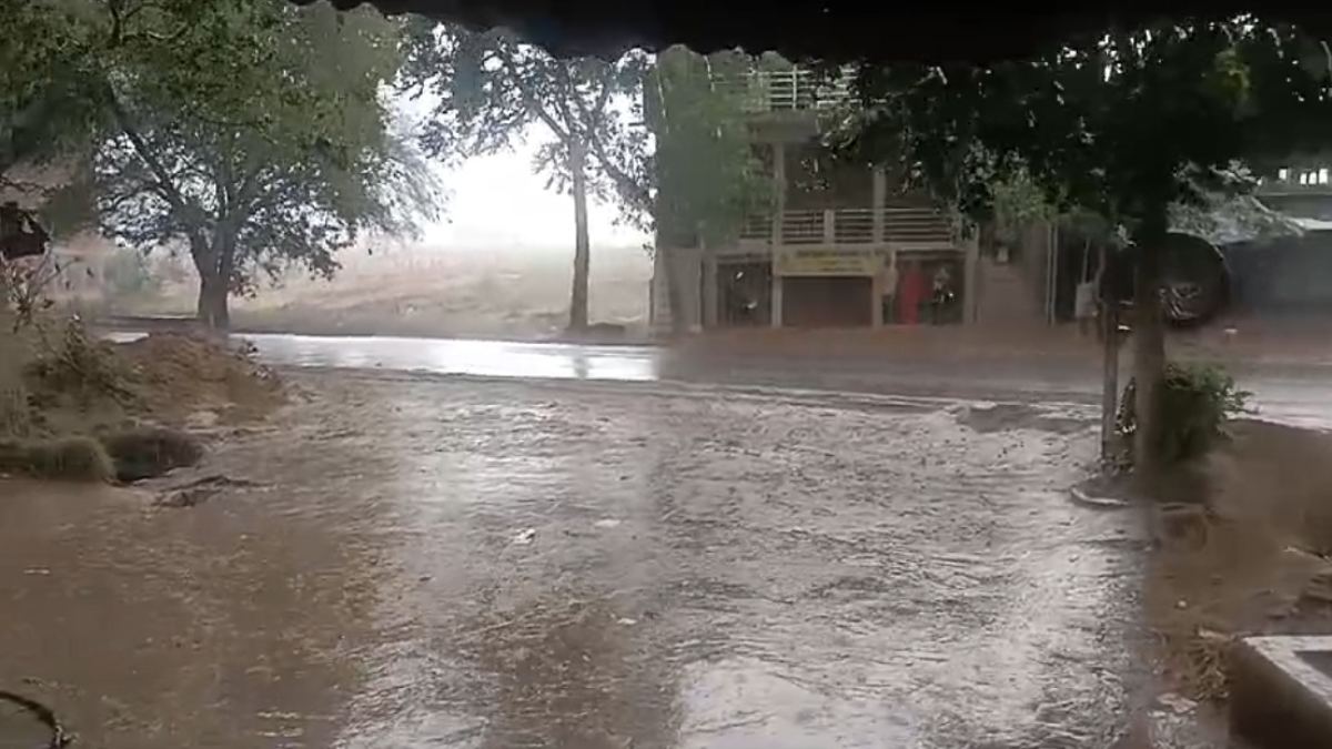 MP Weather Update: भिंड में तेज बारिश, निवाड़ी में भी मौसम हुआ सुहावना, गर्मी से मिली राहत