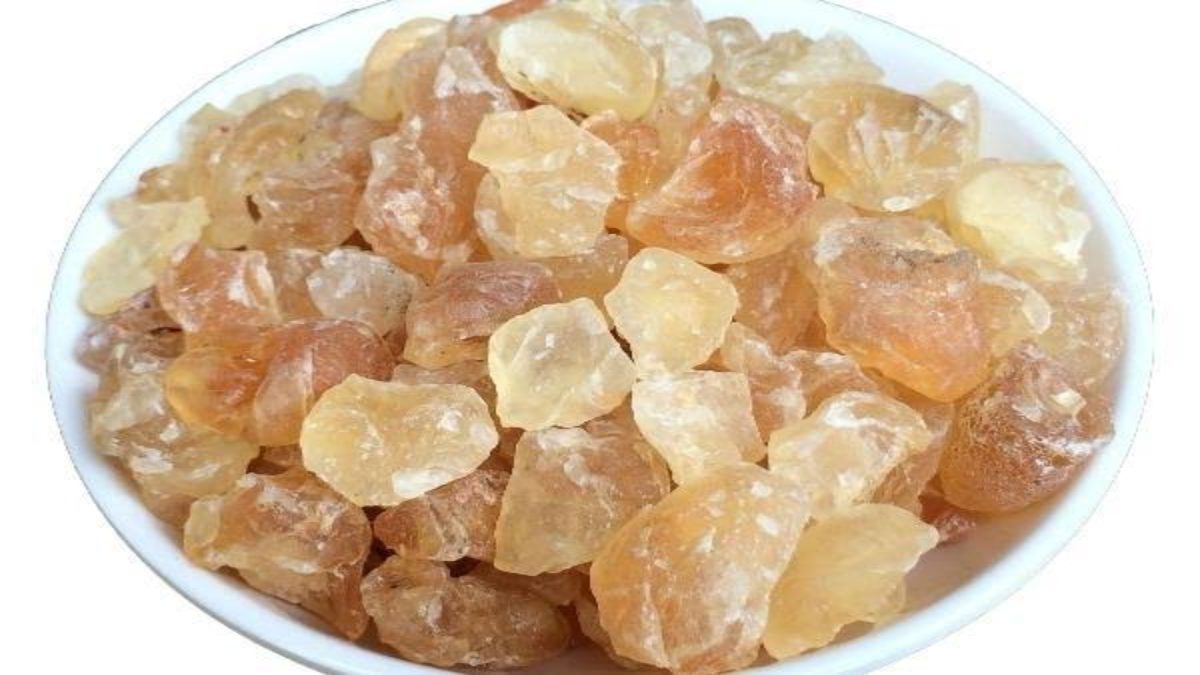 Summer Ideas: गर्मियों में गोंद कतीरा खाने से सेहत को मिलेंगे ये फायदे, लू से बचने का बेहतरीन उपाय..