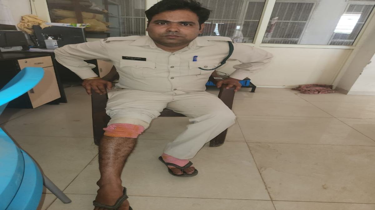 वनकर्मियों पर आदिवासियों का हमला: लाठी-डंडों और पत्थरों से किया वार, दौड़ा दौड़ाकर पीटा, हाईकोर्ट के निर्देश पर पौधारोपण कराने गए थे वनरक्षक
