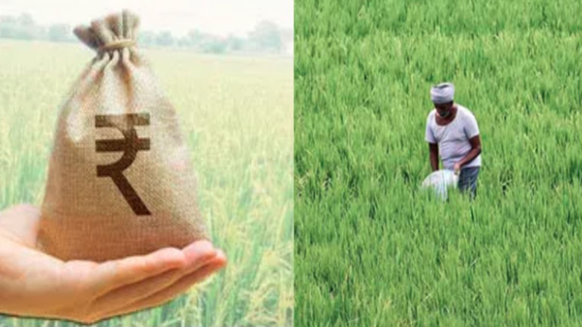 किसानों के लिए राहत भरी खबर: फसल ऋण की देय तिथि आगे बढ़ी, अब इस दिन तक जमा कर सकेंगे लोन