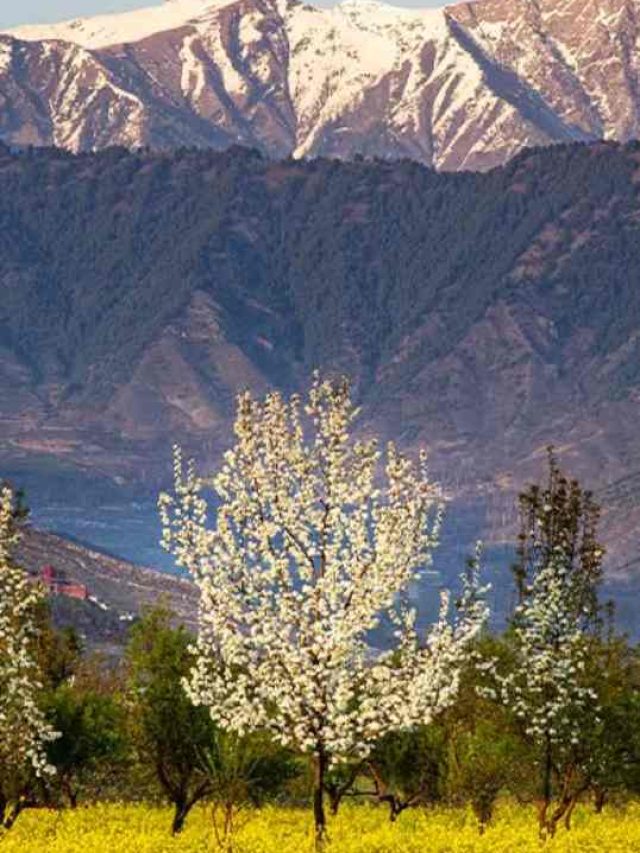 भारत की 66 जगहें जहां गर्मियों मेंं भी सर्दियों का एहसास होता है…