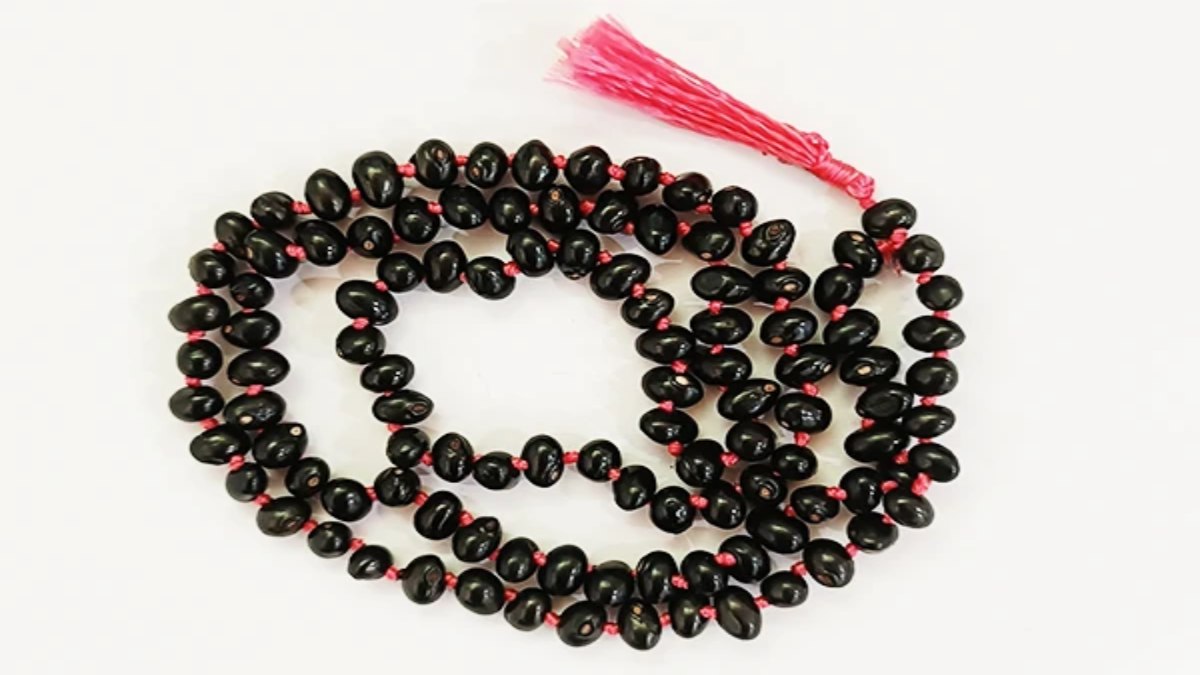 बेहद चमत्कारी है ‘काली गुंजा का प्रयोग, आयुर्वेद से लेकर तंत्र में माना जाता है बेहद महत्वपूर्ण…