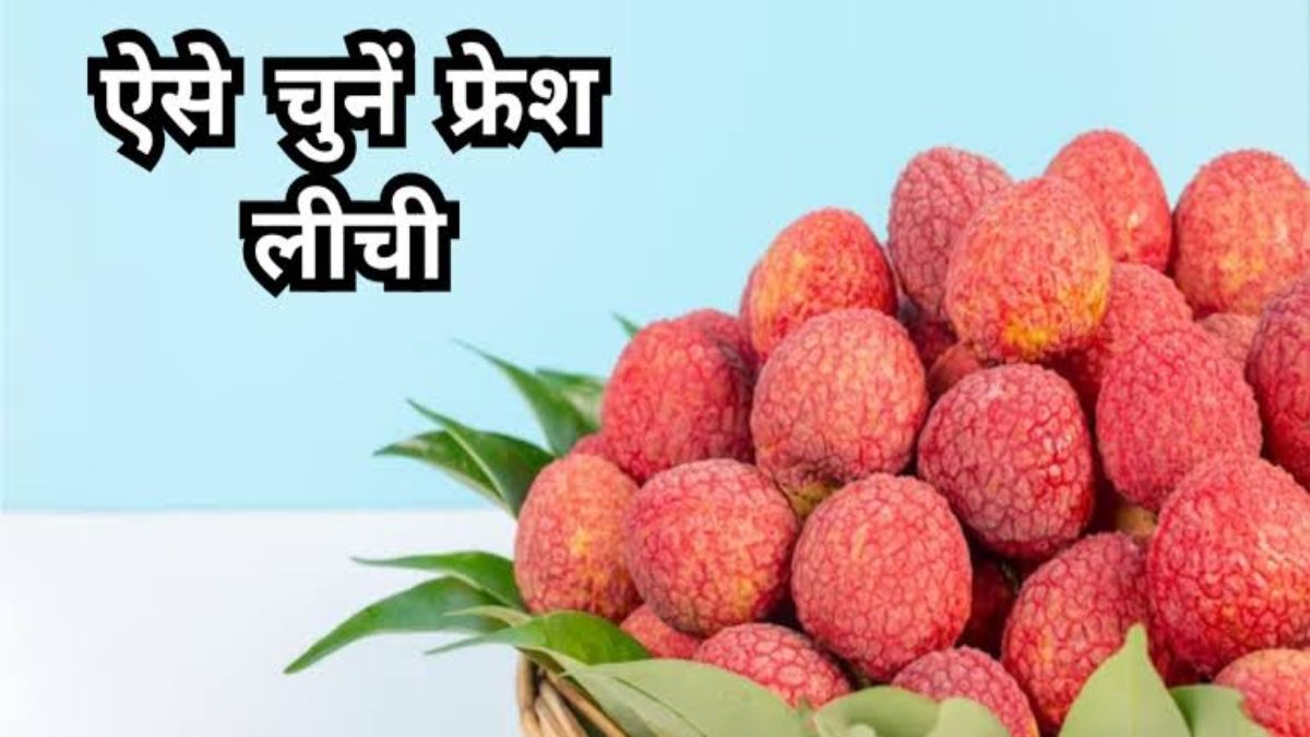 Lychee खरीदते समय आप भी रहते हैं कंफ्यूज, तो इन Tips को Follow करके खरीदे टेस्टी लीची …