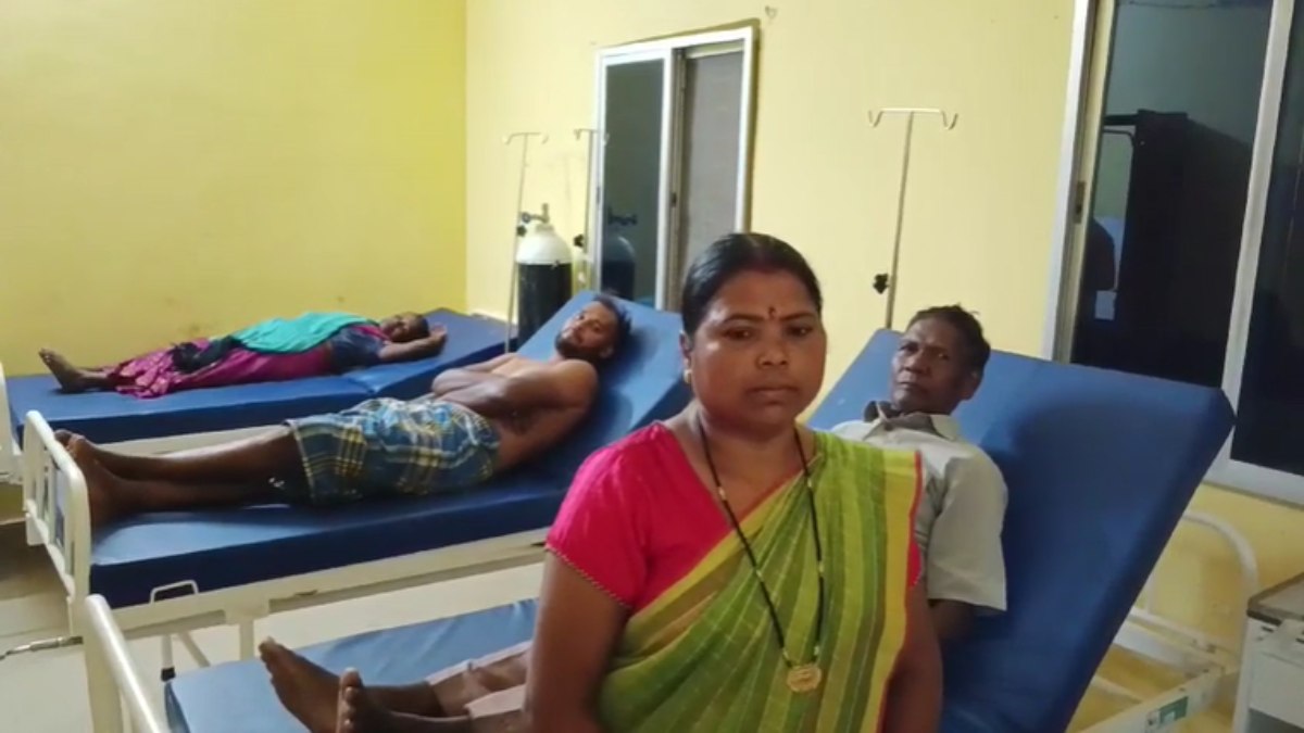 मतदाताओं पर मधुमक्खियों ने किया हमला, 5 लोग घायल, 2 गंभीर