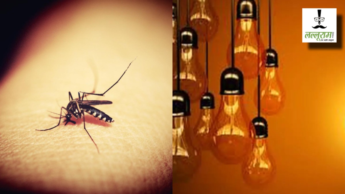 बत्ती हुई गुल तो मच्छरों ने काटा… नाराज युवकों ने बिजलीकर्मियों की कर दी पिटाई, पावर हाउस में की तोड़फोड़