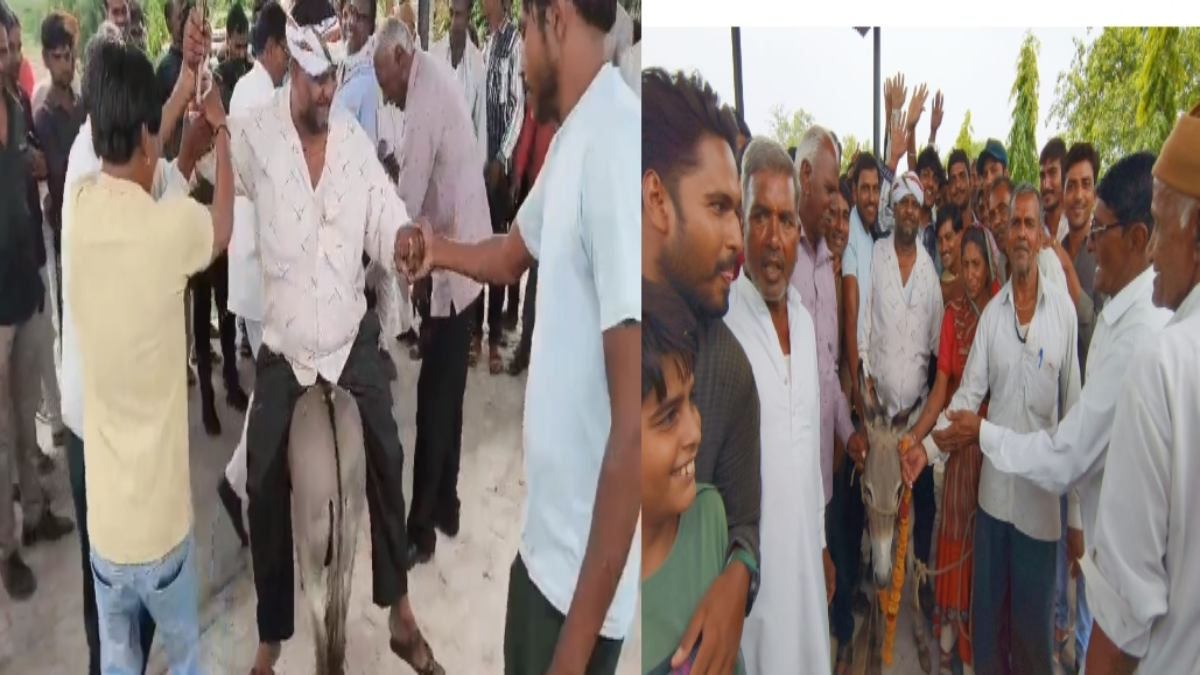 इंद्रदेव को मनाने जुटे ग्रामीण: गधे पर शख्स को उल्टा बैठाकर मुक्ति धाम में घुमाया, लोगों ने कहा- क्षेत्र में होगी अच्छी बारिश