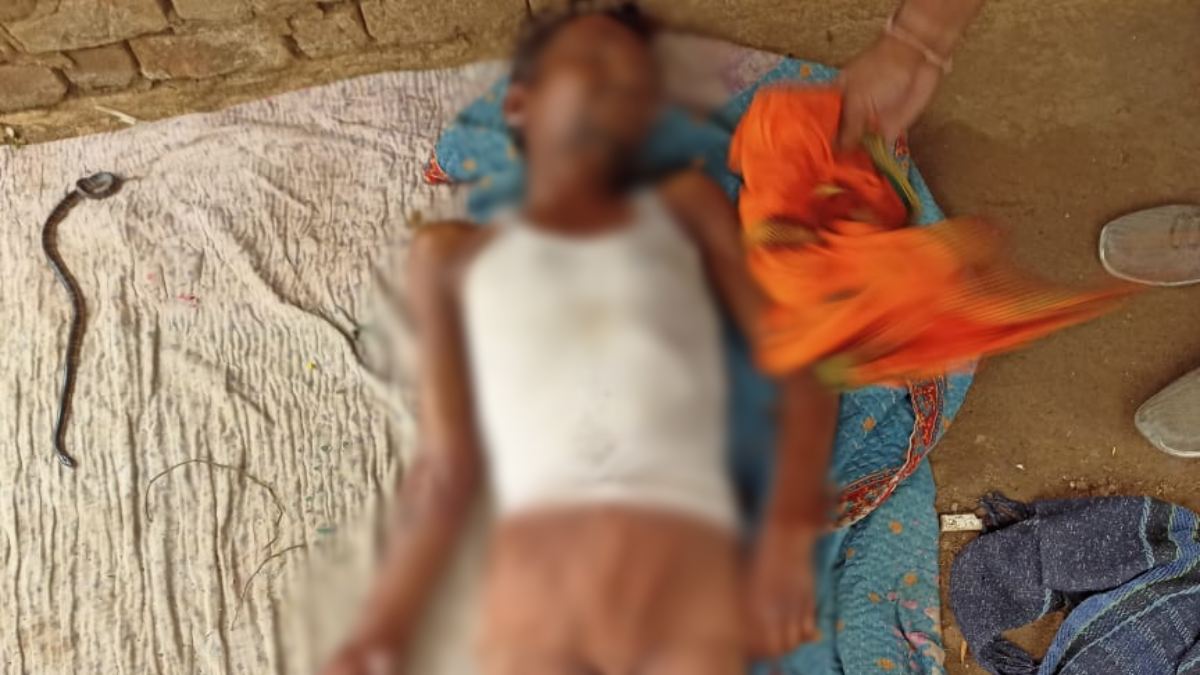 आंगन में सो रहे युवक को सांप ने डसा: सुबह दोनों बिस्तर पर मृत मिले