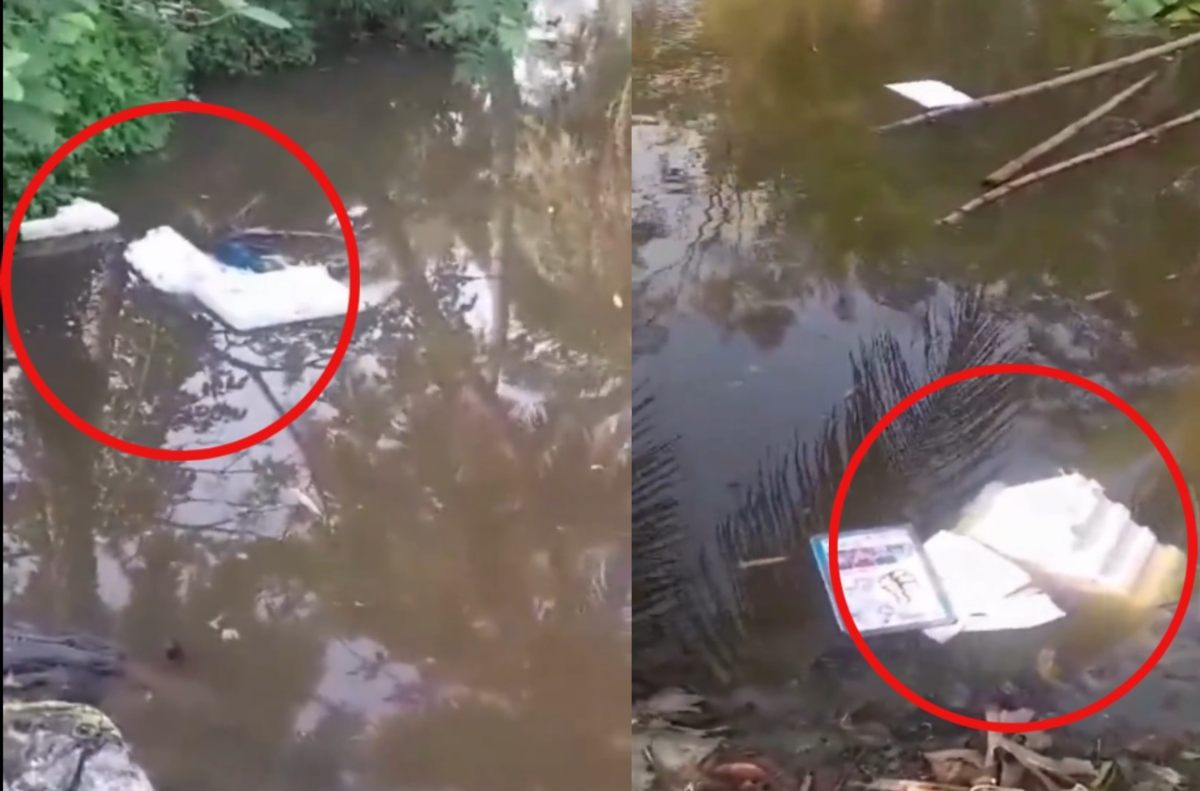 West Bengal Lok Sabha Election 2024 Phase 7 Voting: बंगाल में भीड़ ने EVM और VVPAT मशीन तालाब में फेंका, इधर दक्षिण चौबीस परगना के भांगड़ इलाके में बमबाजी